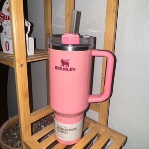 New Rare Winter Shimmer Stanley Cups 40 Oz Winter Berry